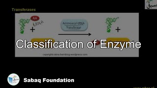 Classification of Enzyme Chemistry Lecture  Sabaqpk [upl. by Cardon789]