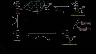 One Carbon Transfers Part 5 of 5  SAdenosylmethionine SAM [upl. by Llenral]