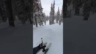 Deep SNOW Skiing Revelstoke ski skiing revelstoke [upl. by Pierson]