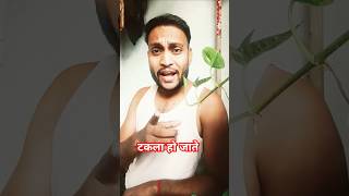 नहीं तो आप टकला🤣🤣youtubebestshorts funny viralvideos trading ytshorts comady reaction [upl. by Eimia]