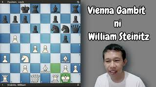 Vienna Gambit ni William Steinitz chess [upl. by Smitty]