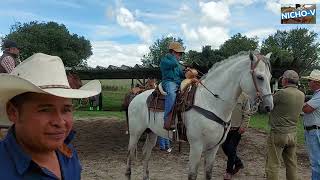 QUE CHULADA DE CABALLOS BUENOS JINETES MONTANDO A CABABLLO DE LAS PLAZAS GANADERAS [upl. by Aihsal]