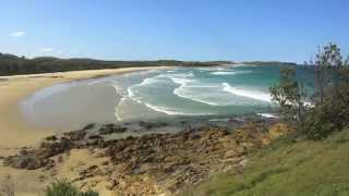 Emerald Beach Moonee Beach and Fiddarmans Beach  a beautiful walk along the ocean front [upl. by Akkahs269]