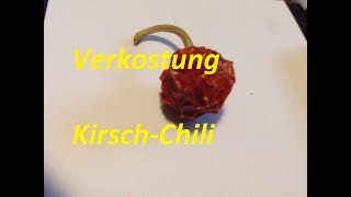 Verkostung KirschChili [upl. by Eniawtna]