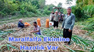 Maralfalfa Bitkisi Hayvancılıkta Çığır Açacak Türkiyede Yaygınlaşmaya Başladı [upl. by Enelyaj]