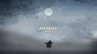 Zevia  amnesia lyrics [upl. by Lyndell531]