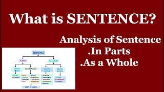 Sentence  Analysis of Sentence  Types of Sentence  Basic English Grammar  E Knowledge Hub [upl. by Niatsirhc]