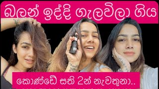 මගේ කොණ්ඩේ වවන herbal රහස Hair care Hair serum Hair grow bhagya sinhala hairfallsolution [upl. by Dareen]