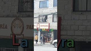 La Mayra fun video humor puppy fyp fy fyp fypシ゚viral fun funnyvideo funnyshorts funny [upl. by Elokyn]