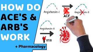 How do ACE amp ARBs Work  Pharmacology [upl. by Edan]