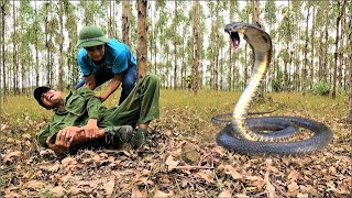 King cobra bite critically 2 The man paid a heavy price for the mistake of catching the king cobra [upl. by Aniweta597]