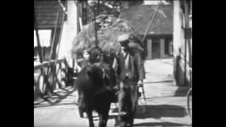 boerderijleven parrega 1953avi [upl. by Bekaj]