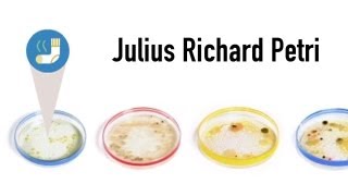 Julius Richard Petri Google Doodle [upl. by Mini335]