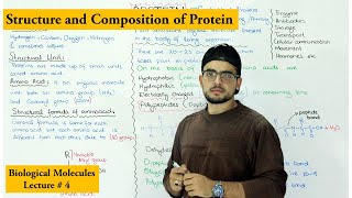 Protein Structure and Composition [upl. by Idhem]