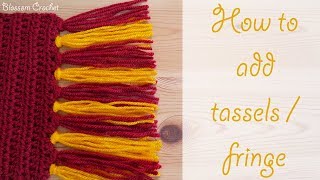 Absolute Beginner Crochet Series Ep 10 How to add tassels  fringe to your projects [upl. by Kcirrad454]