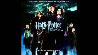 Hedwigs Theme Adapted by Patrick Doyle  Hedwigs Theme Adaptado por Patrick Doyle [upl. by Dorsey]