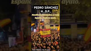 El pueblo habla valencia dana manifestacion [upl. by Greeley689]