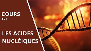 A7 Les acides nucléiques [upl. by Christianna166]