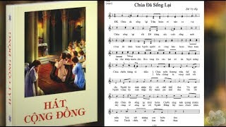 Thánh ca CHÚA ĐÃ SỐNG LẠI  Sáng tác Đỗ Vi Hạ  Thực hiện  Nguyễn Tuyết Mai [upl. by Aniraz]