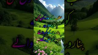 Matlabimatlabiaqwalezareen islamic vairal vedeo [upl. by Middlesworth]