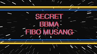 Secret BBMA dan FIBO MUSANG standar operation n example [upl. by Favianus]