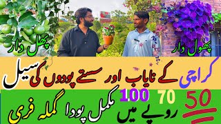 Shocking Nursery Prices Revealed  cheapest Nursery Karachi [upl. by Phira]