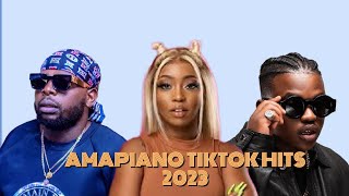 Amapiano Tiktok Hits 2023 [upl. by Uolyram]