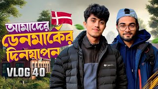 ডেনমার্কে আমাদের দিনযাপন  Daily Life Vlog 40  Typical Tanjid 🇩🇰🇧🇩 [upl. by Anaoy]