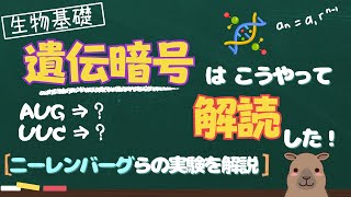 【生物基礎】遺伝子発現の解明！遺伝暗号を解読した「ニーレンバーグらの実験」を解説！ [upl. by Anileme958]