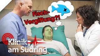 Wegen VERDORBENEM FISCH 🐟 Hat sich der verwirrte Hobbykoch vergiftet  Klinik am Südring  SAT1 [upl. by Anyaj]