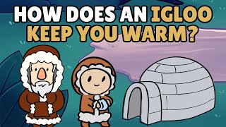 How Does an Igloo Keep You Warm  Best Learning Videos For Kids  Thinking Captain [upl. by Cirded]