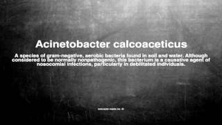 Medical vocabulary What does Acinetobacter calcoaceticus mean [upl. by Brandi]