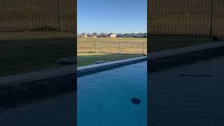 Gold Medal Pools reviews My pool has major cracking and leaking as well as was constructed [upl. by Lemon196]