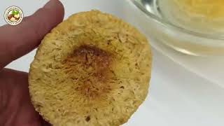 How Taiwanese Farmers Harvest Tremella Tremella Soup Processing Factory  Smart Harvest [upl. by Zanlog]