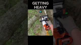 Heavy Limb Strong Hands Watch it Fall treework arborist stihl chainsaw  bluecollar [upl. by Johnnie]