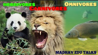 Herbivores Carnivores amp Omnivores  Food Chain  Educational Video  Science Lesson [upl. by Ursuline]