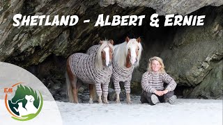 Shetland  Albert amp Ernie [upl. by Ahseuqal]