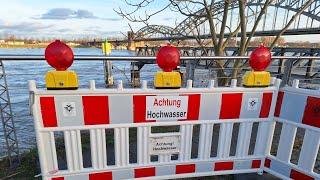 Köln Hochwasser am Rhein Dezember 2023 [upl. by Ennairoc]