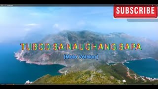 TUBOD SA NAUGHANG SAPA KARAOKE MALE VERSION [upl. by Dickinson]