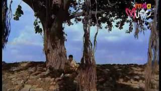 Maa Music  KU KU KOILA KEERTHANA MANAVARALII PELLI SONGS Watch Exclusively on Maa Music [upl. by Oivat331]