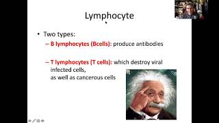 Leukocytes Agranulocytes [upl. by Wivestad]