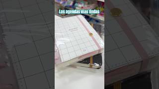 Las agendas más lindas de toda mi tienda agenda parati planner [upl. by Ysiad]