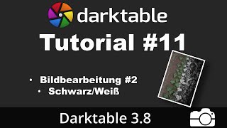 Darktable Tutorial 11 SchwarzWeiß Bildbearbeitung  deutsch  Bildbearbeitung [upl. by Wye]