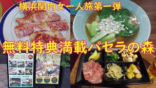 【横浜関内パセラの森】パセラの森ホテル紹介、行列が出来る焼肉店のランチ、ワンタンスープ！食べて飲んでの女一人旅 [upl. by Dominus]