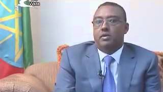 Interview with HE Demeke Mekonnen on current issues  Walta [upl. by Eadith982]