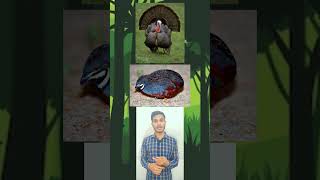 Parthenogenesis Parthenocarpy Animals  Plantsyoutubescienceviralyoutubeshortssimplesolution [upl. by Jabin999]