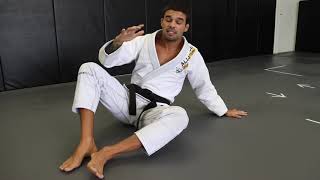 How To Do A Proper BJJ Technical Stand Up [upl. by Keefe]