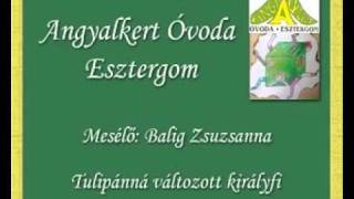 Tulipánná változott királyfi [upl. by Watkin]