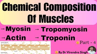 Chemical composition of Muscle  Myosin  Actin  BSc 2  NEET  MSc 1 Sem etc [upl. by Ahsoek]