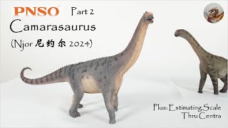 317 PNSO Camarasaurus 圆顶龙尼约尔）Njor 2024 Review Part 2 [upl. by Iznekcam]